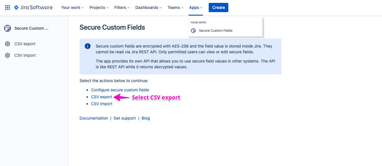 secure custom field - export.png